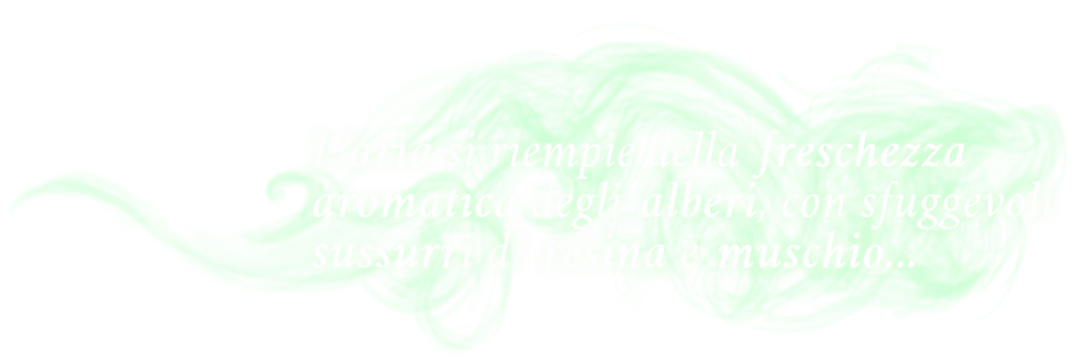 "SMELL REVEALED: The air fills with the aromatic freshness of trees, with fleeting whispers of resin and moss..."