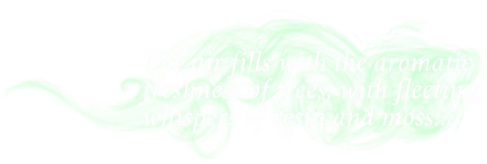 "SMELL REVEALED: The air fills with the aromatic freshness of trees, with fleeting whispers of resin and moss..."